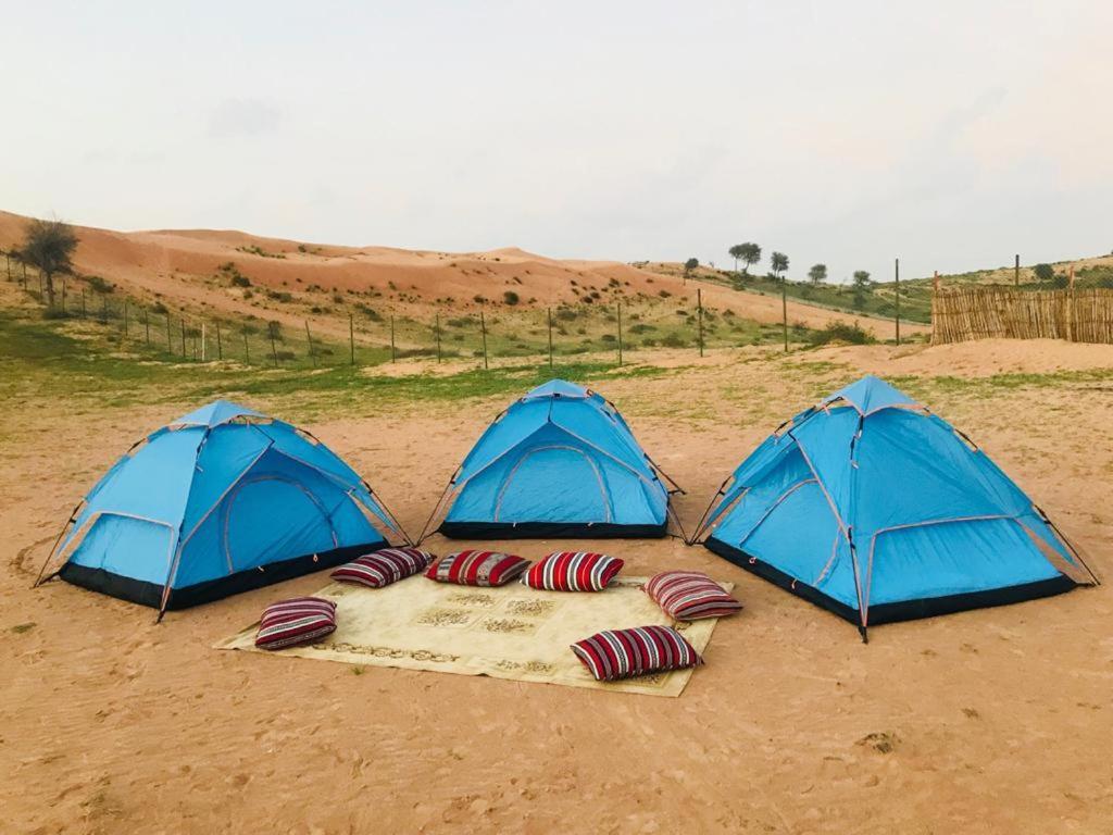 The Dunes Camping & Safari Rak Ras al-Khaimah Exteriör bild