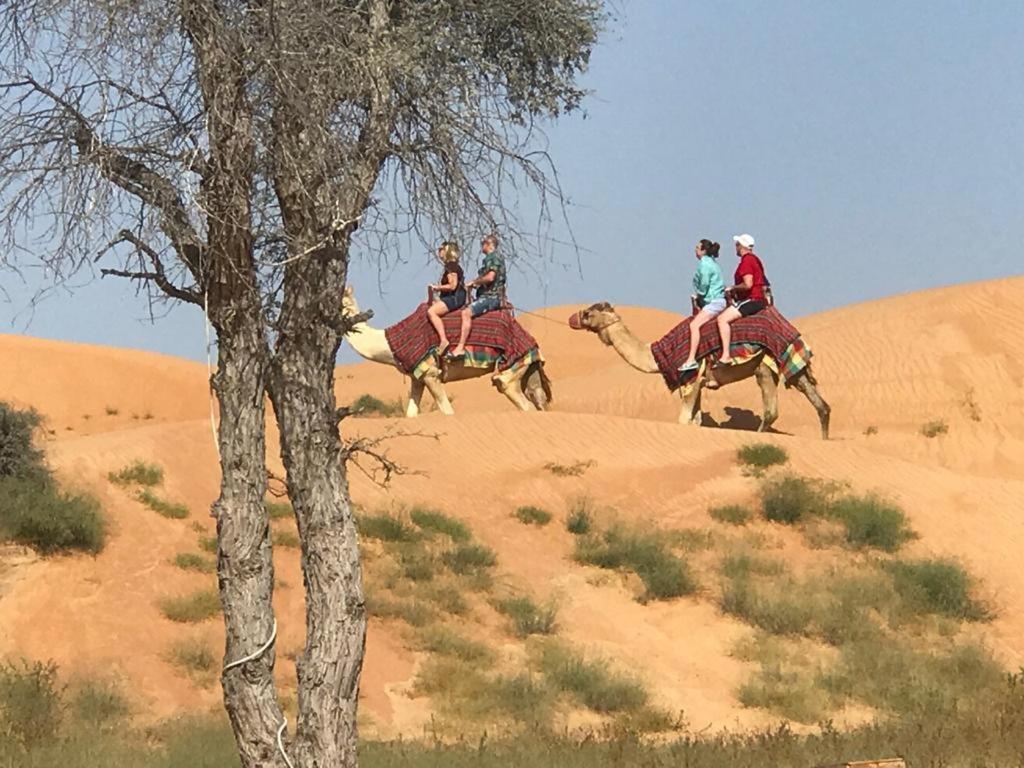The Dunes Camping & Safari Rak Ras al-Khaimah Exteriör bild