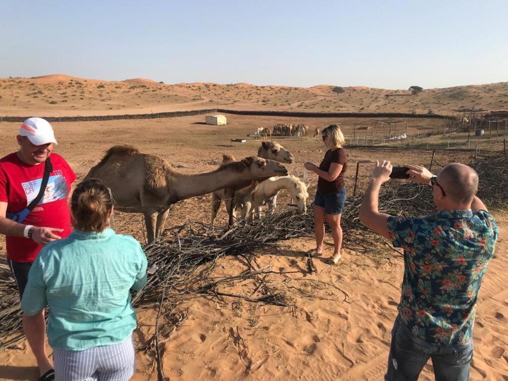 The Dunes Camping & Safari Rak Ras al-Khaimah Exteriör bild